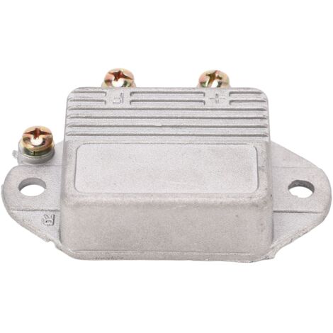 Régulateur de Tension 12V/24V 1000W pour Voiture - Stabilisateur Haute Précision