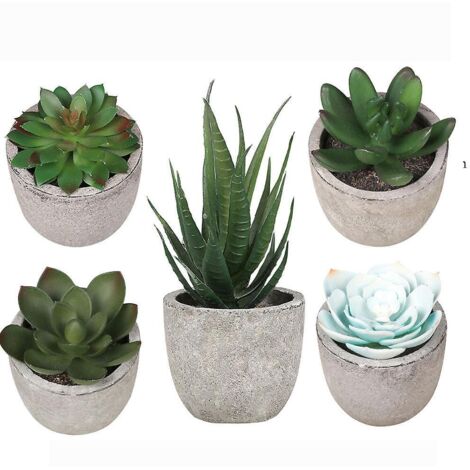 5 Pices Pte Artificielle Succulente Bonsa Dcoration De La Maison Simulation Plante Succulente Bonsa Ensemble (1/5)