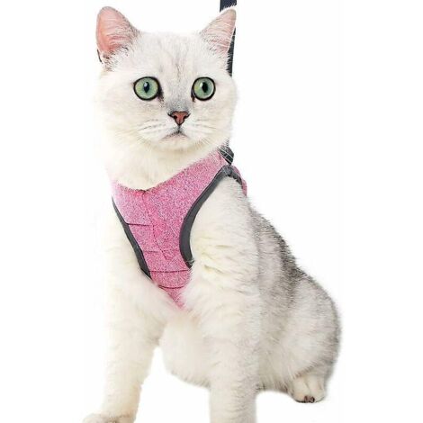 l-harnais Pour Chat - Ensemble De Harnais Et Laisse Chat Ultra-lger Harnais Chaton Rglable Anti-fuite Pour Chiot Lapin Furet (1/5)