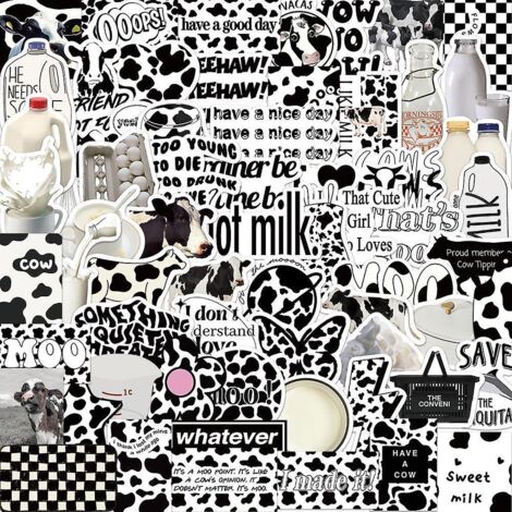 autocollant 65 Pices Noir Et Blanc Graffiti Stickers Pour Portable Voiture Ordinateur Moto Velo Casque Skateboard Guitare Bouteille D'eau Guitare (1/4)