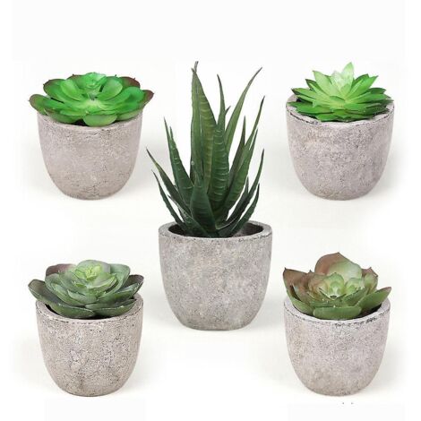 simulation Pte Succulente Bonsa 5 Pices Ensemble Dcoration De La Maison Simulation Plante Succulente Bonsa Ensemble (1/5)