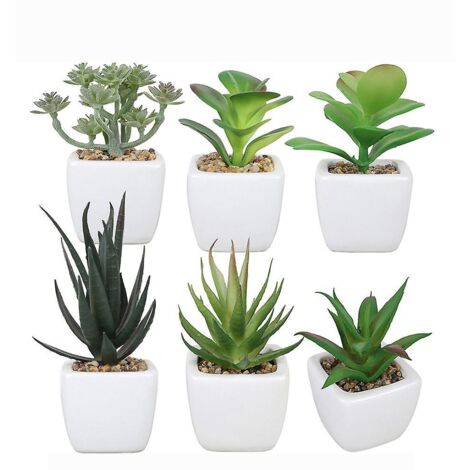 6 Pices En Cramique Carr Plante Succulente Bonsa Dcor La Maison Simulation Plante Succulente Bonsa Ensemble (1/5)