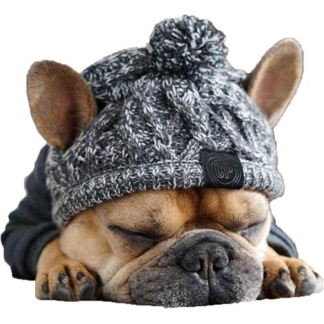 chapeau Chaud En Tricot Pour Chien Bonnet  Bavette Mignon Accessoires De Maquillage Pour Animaux De Compagnie Costume Chapeau Automne Hiver Photog (1/5)