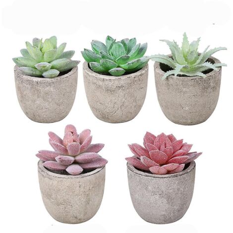 5pcs Succulentes Artificielles En Pot, Succulentes Artificielles Vertes Pour Le Bureau, Le Salon Et La Dcoration De La Maison (1/5)