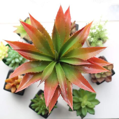 Plante Artificielle Alos Vera - 30,5 Cm De Large Pour Dcoration Intrieure Et Extrieure, Jardin Et Salle De Bains (1/5)