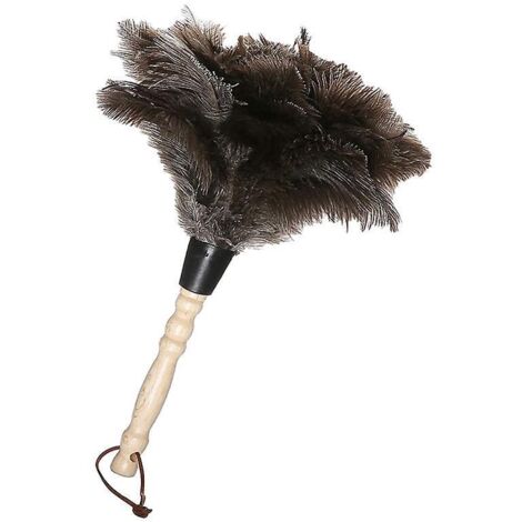 35cm-plumeau Autruche, Plumeau Poussiere Plume Avec Poigne Filete, Ostrich Feather Dusters, Pour Bureau, Salon, Bibliothque, Clavier (1/5)