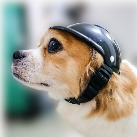 m Chats Casque Pour Animaux De Compagnie, Abs Chapeau De Motos Pour Chiens, Ajustable Casque Pour Chien Avec Vents, Casquette De Scurit Pour Chien (1/5)