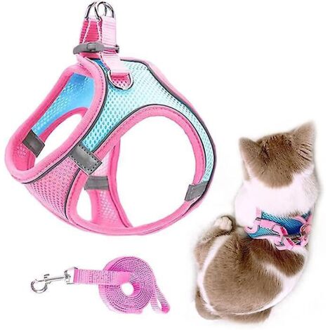 (bloc De Couleur Bleu Rose) Harnais Et Laisse Pour Chien En Maille Respirante Avec Sangle Rflchissante Pour Chatons, Chiots, Lapins (1/5)