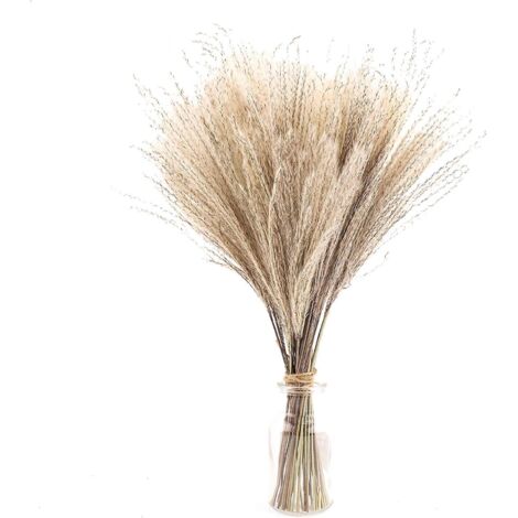 Ensemble de 30 pièces de phragmites séchés artificiels de 40 cm, style bohème, pour la décoration intérieure, vases et bouquets blancs de mariage. (1/5)