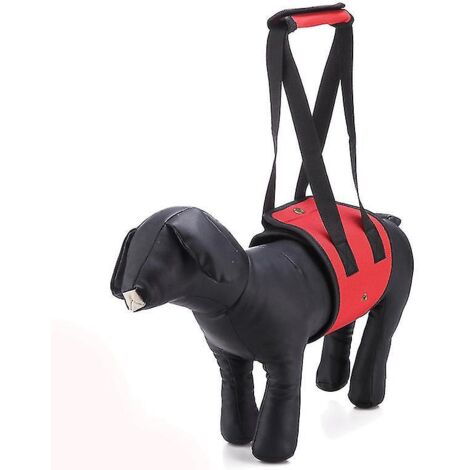 Écharpe de soutien pour la patte arrière du chien âgé, pour faciliter sa mobilité et soulager l'arthrite. (1/5)
