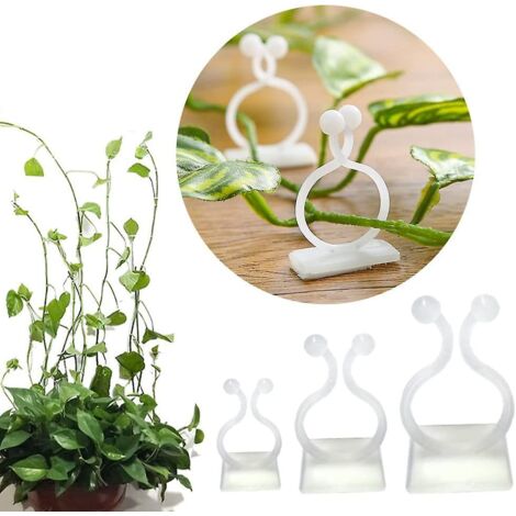 Lot de 100 supports muraux pour plantes grimpantes avec crochets auto-adhésifs et fixation invisible (1/5)
