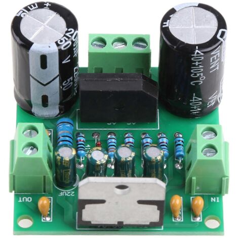 Amplificateur Audio Mono TDA7293 100W Carte Ampli Puissance Simple Canal 12-32V (1/5)