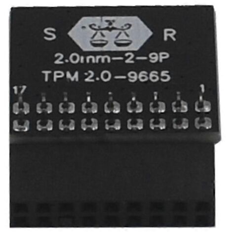 Module de sécurité TPM 2.0 pour carte mère ASRock - Cryptage à distance, module mini sécurisé (1/5)