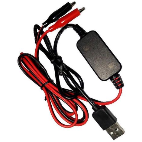 Câble convertisseur de tension USB 5V vers 3V pour piles AA AAA rechargeables (1/5)