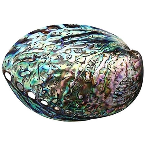 Voici un titre produit optimisé en français, avec des mots-clés variés et une longueur inférieure à 190 caractères :
Coquillage abalone naturel romantique, conque épluchée pour nettoyage, fumigation (1/4)