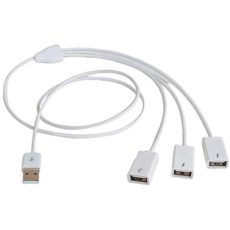 Câble USB 1 vers 3 - Hub USB Multi-Port pour PC Portable et Ordinateur (1/4)