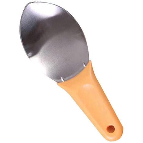Coupe-Mangues Professionnel, Outil pour Découper et Évider les Mangues, Trancheur et Désosseur de Mangue