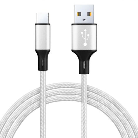 Câble USB Type-C 2m Argent pour Smartphone et Tablette - Transfert de Données et Charge Rapide (1/4)