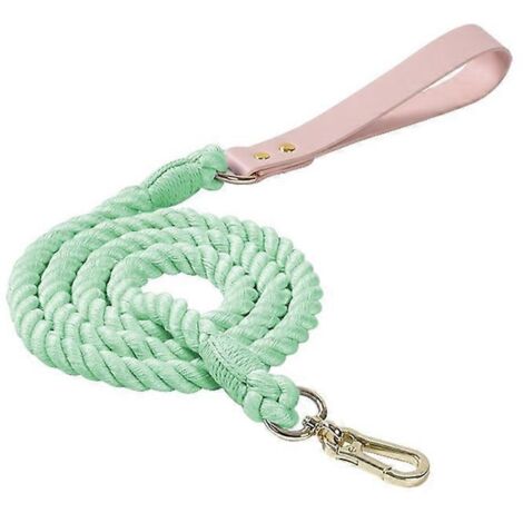 Tresse laisse chien dégradé couleur, corde traction chat, laisse promenade animal 150cm12mm vert menthe (1/4)