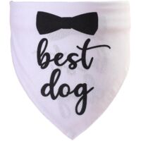 Pet Summer Triangle Scarf (wedding Season - White), Kitten Collar Pet Collar, Summer Scarf, Slobber Scarf, Dog Collar