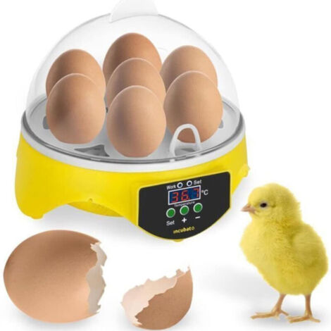 Incubatrice digitale automatica, macchina per la schiusa di 7 uova di gallina (1/5)