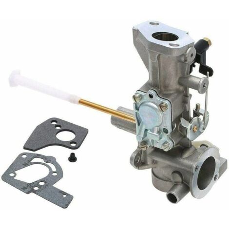 Carburador - Briggs & Stratton 498298 Carburador 495426 692784 495951 para motor de la serie 134202 133212 de 5 HP (1/5)