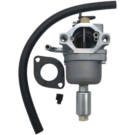 Carburador nuevo 796109 591731 594593 (1/5)