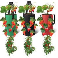 3er-Set hängende Pflanzbeutel, atmungsaktive Pflanzbeutel mit 12 Löchern, für Erdbeeren, Kräuter, Blumen, Gemüse, 20 cm 35 cm (Rot, Schwarz, Grün)