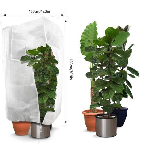 2 Coperture Protettive Per Piante In Tessuto Verde – Dimensioni 120 X 180 Cm - 3