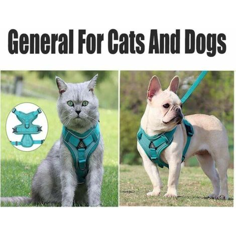 Anti-Zieh Hundegeschirr Mit Griff – Reflektierend, Verstellbar, Größe Small, Blau
