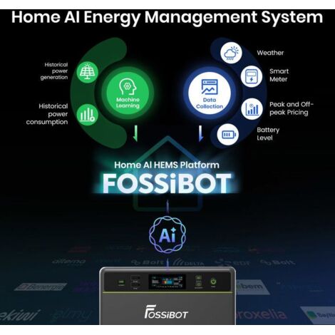 Prise Connectée Intelligente 16A Mesure Bidirectionnelle Solaire - Smart Life Alexa Google Home