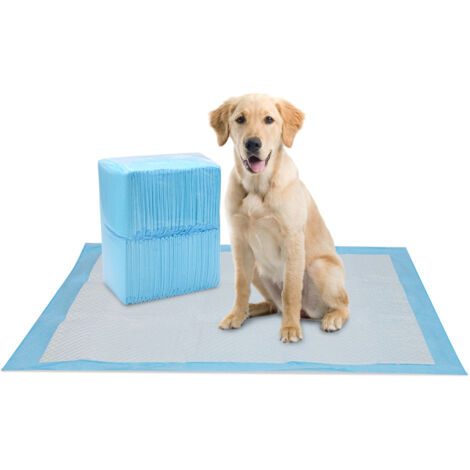 EINFEBEN Tapis Absorbant Chien, 120 Pièces, 60 × 60 cm Alaise Jetable Alèse Pipi Propreté Educateur Chien Animaux, Aleze Impermeable, Pee Pad Apprentissage la Propreté Anti-Fuite Résistante