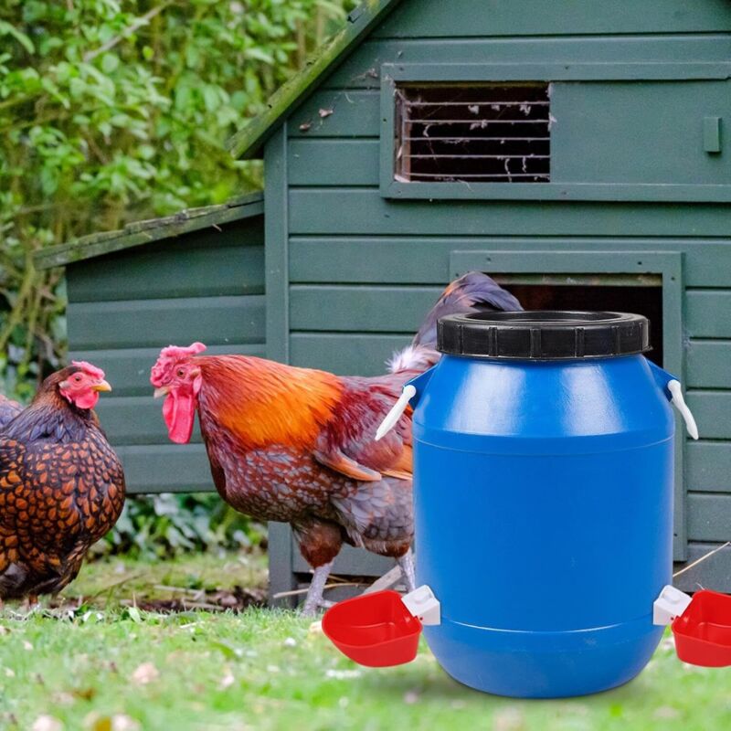 Abreuvoir Pour Poule, Abreuvoir Automatique Pour Volaille, Lot De