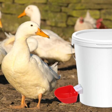 Abreuvoir Automatique Pour Poules Sans Déversement - Lot De 5, Système Par Gravité, Pour Poulailler, Volaille