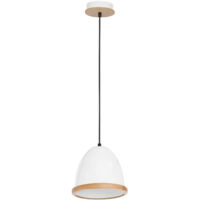 Lampada a sospensione 1x60W E27 STUDIO MLP8849 Milagro