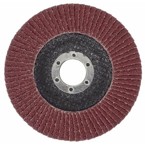 Lot De 10 Disques à Lamelles Grain 80 Pour Métal - Diamètre 125 Mm, Alésage 22,23 Mm