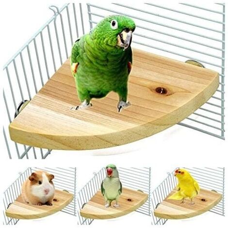 Cage à Oiseaux Perche Support Plate-Forme en Bois Forme de Ventilateur Perroquet Terrain de Jeu Cage Accessoires pour Oiseau Perroquet Hamster écureuil Debout-LIAIKI (1/5)