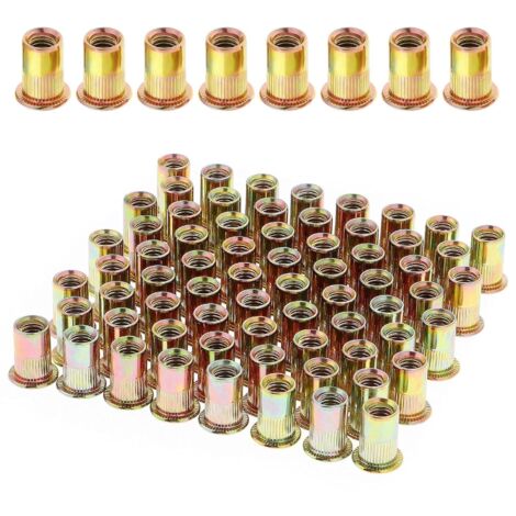 100 Pièces Écrou à Rivet M6 Fileté à Tête Plate, Écrous à Riveter Fileter en Acier au Carbone Zingué, Assortiment M6 Rivet Inserts Filetés pour Métal Plastique (12 mm x 15 mm)
