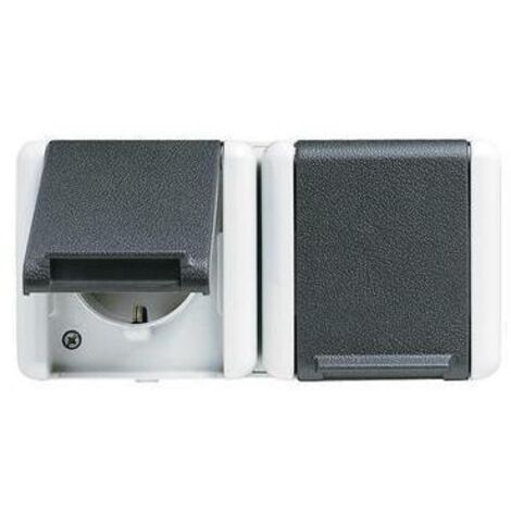 Jung Steckdose 2-fach grau glänzend AP Klappd IP44 WG 800 8220 W