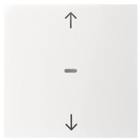 Berker Abdeck. Tast.-M. 1f. Pfeil S.1/B.x pw 80961289 (1/5)