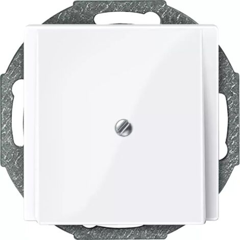 Merten Zentralplatte aws/gl Leitungsauslass 296325
