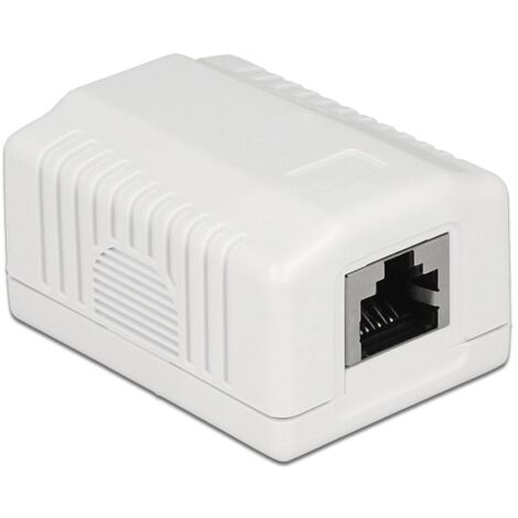 Delock 86196 RJ-45 Wandsteckdose Weiß Modernes Design (1/5)