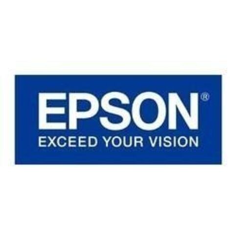 Epson Tintenkartusche Stylus Pro 4900, C13T653A00, orange, 200ml (C13T653A00) (1/5)