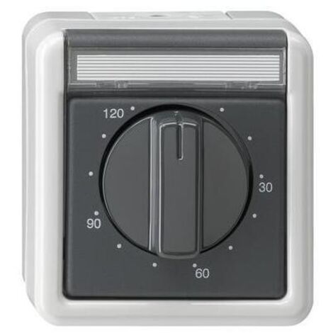 Gira Zeitschalter gr 120Min., AP-WG 032130 (1/5)
