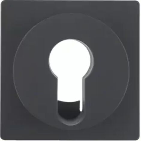 Berker Q.X ZENTRALSTÜCK F. DIN-PROFI / BERKER 15076086 (1/2)