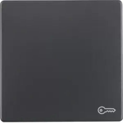 Berker Q.1 WIPPE M.AUFDRUCK SYMBOLSCH / BERKER 16206066 (1/2)