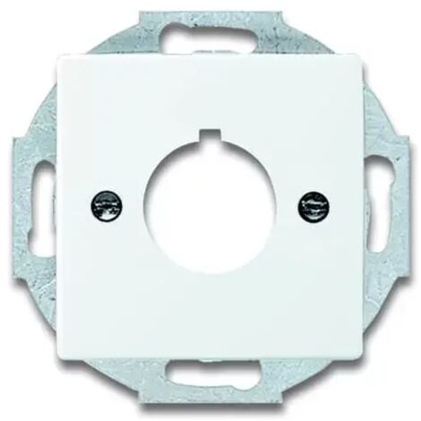 Busch-Jaeger Zentralscheibe dav/sws 22,5mm Befehlsgeräte 2533-84 (1/2)