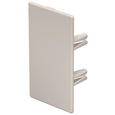 OBO Endstück WDK/HE 60110 60x110mm cremeweiss (1/3)