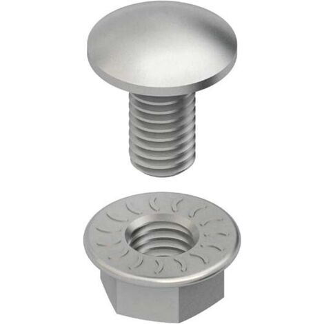 Niedax Flachrundschrauben FLM 6 X 12 F FLM6X12F (1/2)