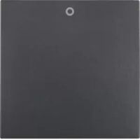 Berker B.X WIPPE MTI AUFDRUCK 0 / BERKER 16221606